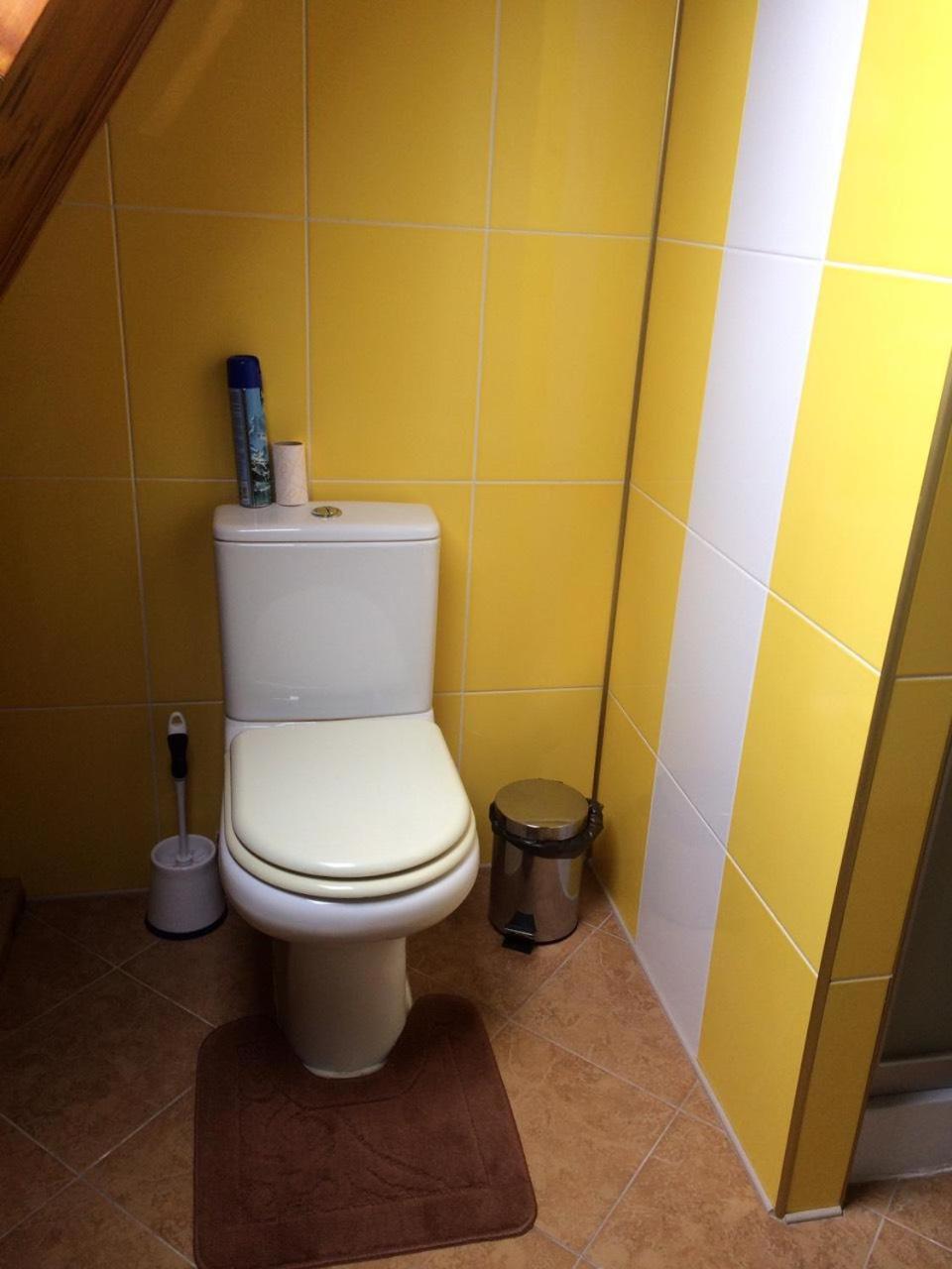 Guest House On Ivana Franka Novyye Petrovtsy エクステリア 写真